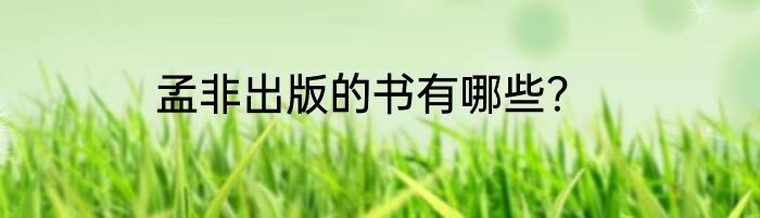 孟非出版的书有哪些？