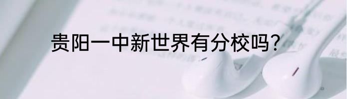 贵阳一中新世界有分校吗？