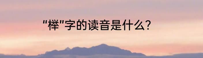 “榉”字的读音是什么？