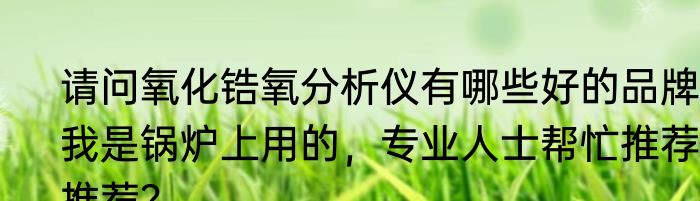 请问氧化锆氧分析仪有哪些好的品牌？我是锅炉上用的，专业人士帮忙推荐推荐？