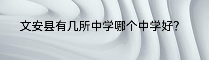 文安县有几所中学哪个中学好？