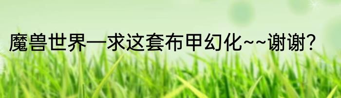 魔兽世界—求这套布甲幻化~~谢谢？