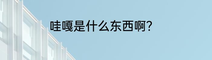 哇嘎是什么东西啊？