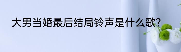 大男当婚最后结局铃声是什么歌？