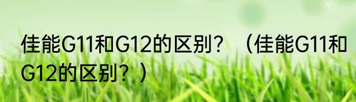 佳能G11和G12的区别？（佳能G11和G12的区别？）