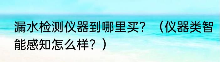 漏水检测仪器到哪里买？（仪器类智能感知怎么样？）