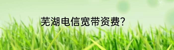 芜湖电信宽带资费？