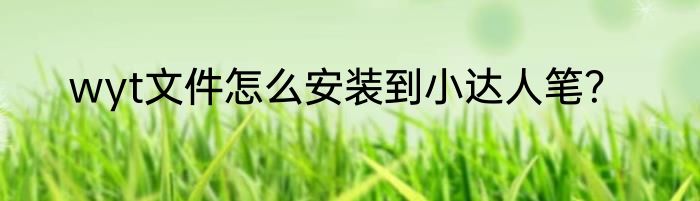 wyt文件怎么安装到小达人笔？