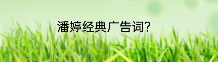 潘婷经典广告词？