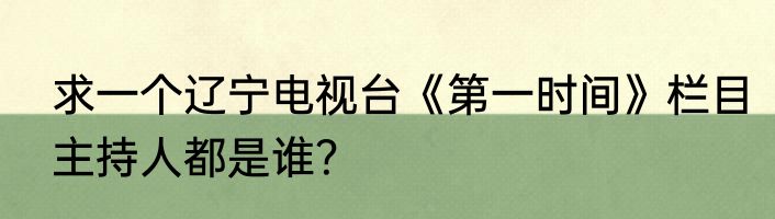 求一个辽宁电视台《第一时间》栏目主持人都是谁？