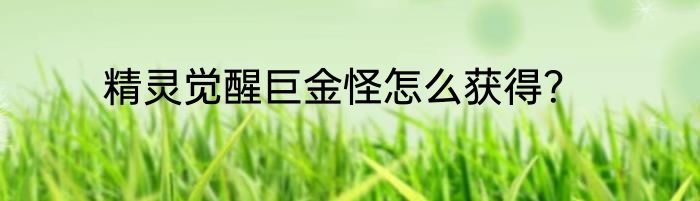 精灵觉醒巨金怪怎么获得？