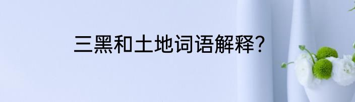 三黑和土地词语解释？