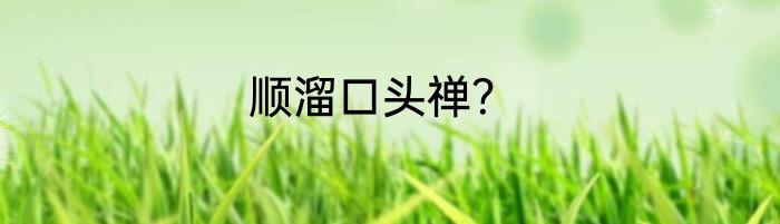 顺溜口头禅？