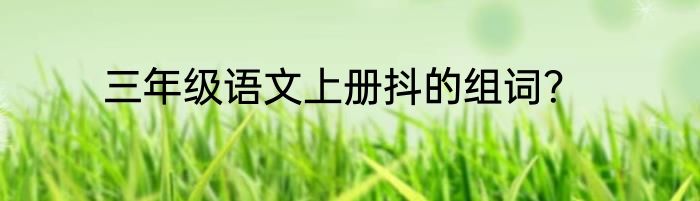 三年级语文上册抖的组词？