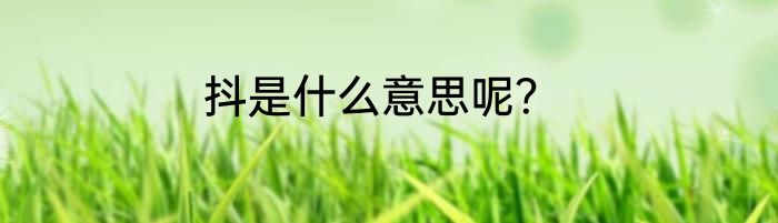 抖是什么意思呢？