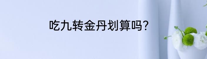 吃九转金丹划算吗？