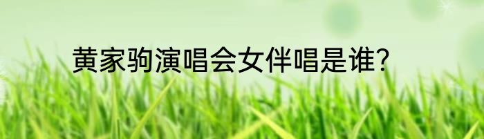 黄家驹演唱会女伴唱是谁？