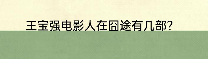王宝强电影人在囧途有几部？