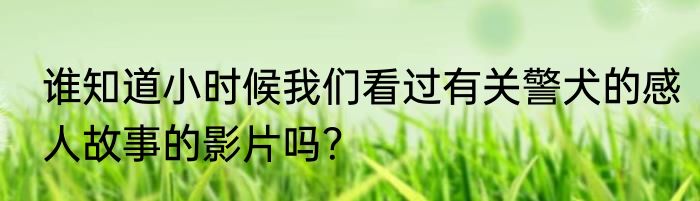 谁知道小时候我们看过有关警犬的感人故事的影片吗？