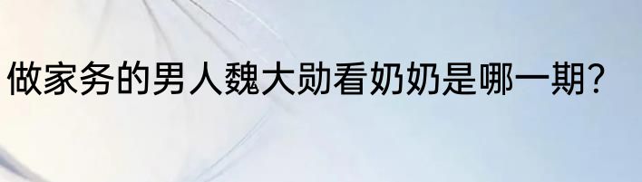 做家务的男人魏大勋看奶奶是哪一期？