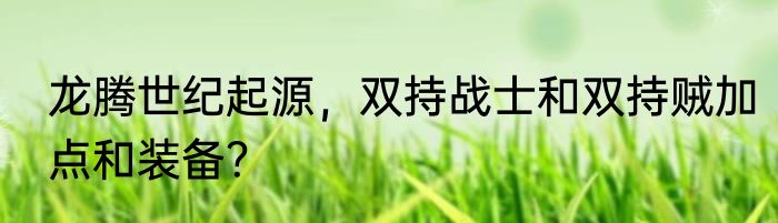 龙腾世纪起源，双持战士和双持贼加点和装备？