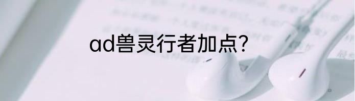 ad兽灵行者加点？