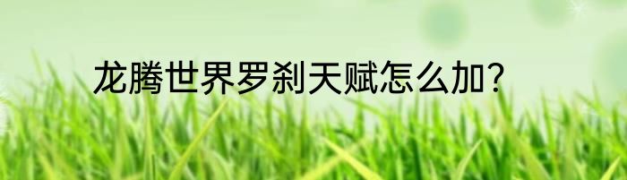 龙腾世界罗刹天赋怎么加？