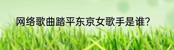 网络歌曲踏平东京女歌手是谁？