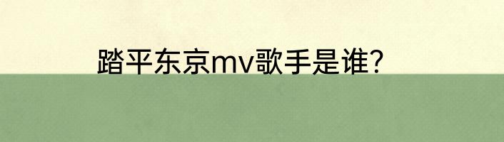 踏平东京mv歌手是谁？