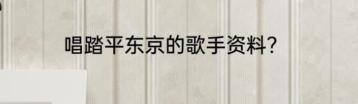 唱踏平东京的歌手资料？