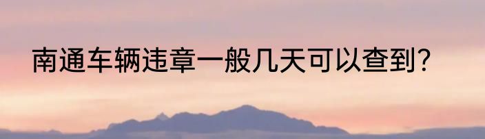 南通车辆违章一般几天可以查到？