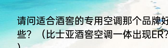 请问适合酒窖的专用空调那个品牌好些？（比士亚酒窖空调一体出现ER？）