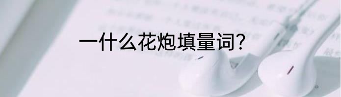 一什么花炮填量词？