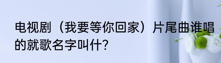 电视剧（我要等你回家）片尾曲谁唱的就歌名字叫什？