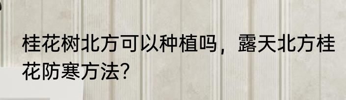 桂花树北方可以种植吗，露天北方桂花防寒方法？