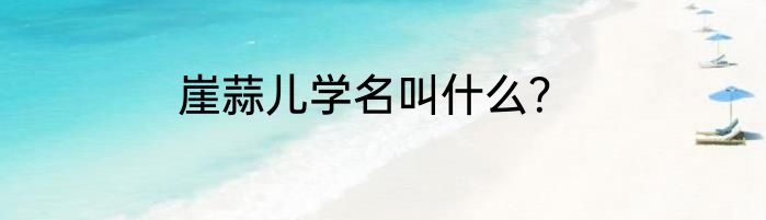 崖蒜儿学名叫什么？