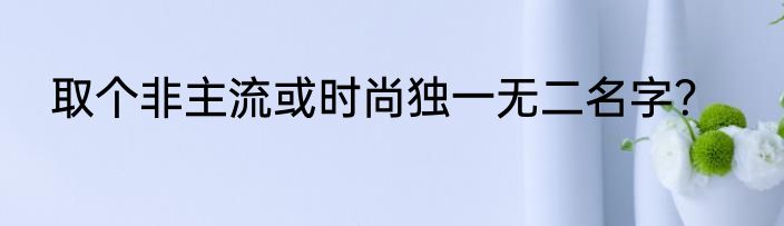 取个非主流或时尚独一无二名字？