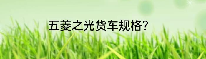 五菱之光货车规格？