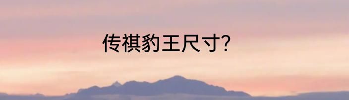 传祺豹王尺寸？