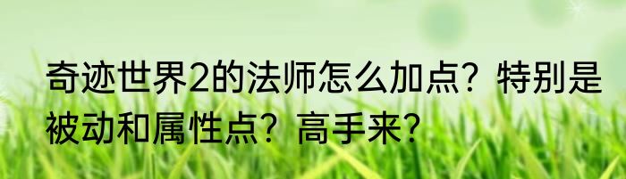 奇迹世界2的法师怎么加点？特别是被动和属性点？高手来？