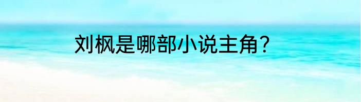 刘枫是哪部小说主角？