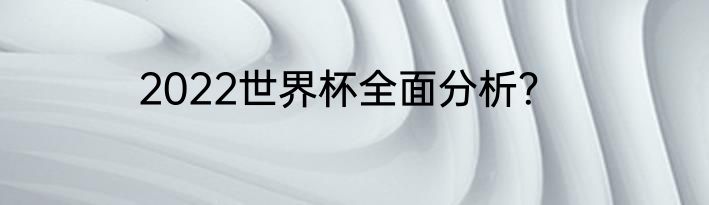 2022世界杯全面分析？