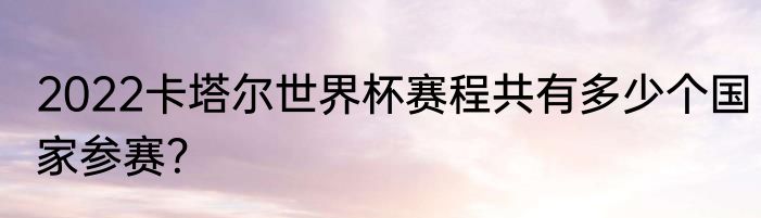 2022卡塔尔世界杯赛程共有多少个国家参赛？