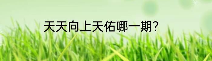 天天向上天佑哪一期？