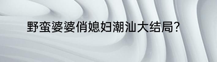 野蛮婆婆俏媳妇潮汕大结局？