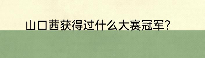 山口茜获得过什么大赛冠军？