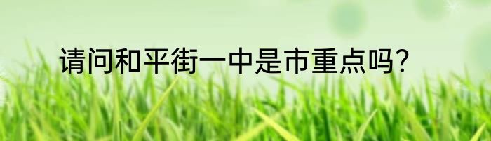 请问和平街一中是市重点吗？