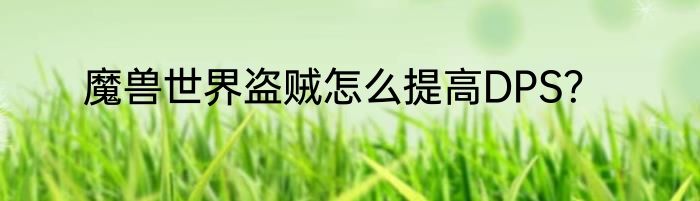 魔兽世界盗贼怎么提高DPS？