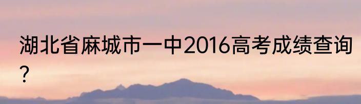 湖北省麻城市一中2016高考成绩查询？