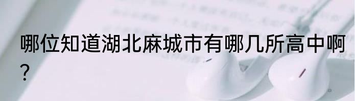 哪位知道湖北麻城市有哪几所高中啊？